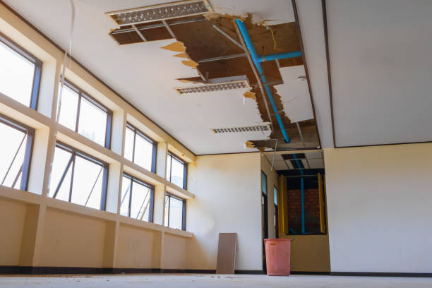 Best Sewage cleanup and water damage restoration  in Bluefield, VA