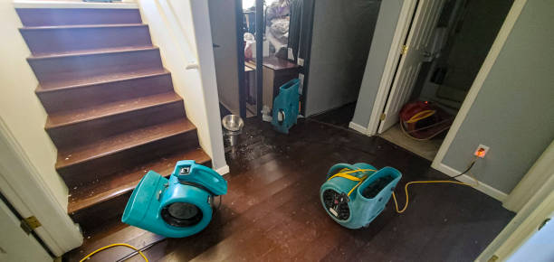 Best Water damage cleanup near me  in Bluefield, VA