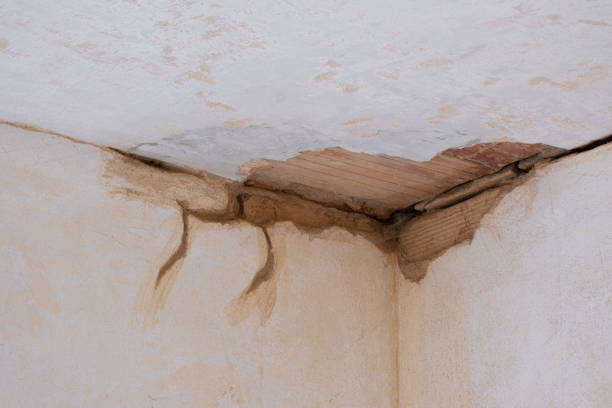 Best Emergency water damage restoration  in Bluefield, VA