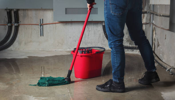 Best Carpet water damage restoration  in Bluefield, VA