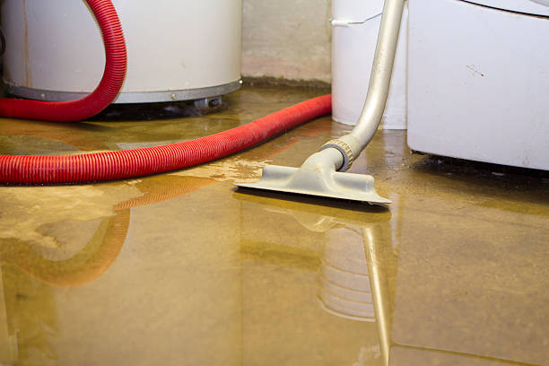 Best Fire Damage Restoration  in Bluefield, VA